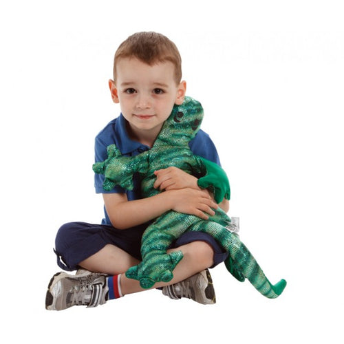 Fonctions exécutives et trouble dans le spectre de l'autisme (TSA)