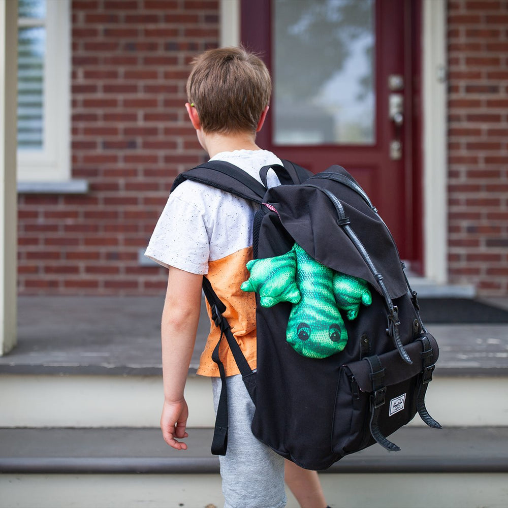 Lézard lourd manimo