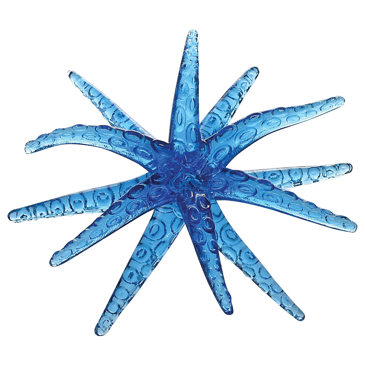 4303000-fdmt-etoile-mer-