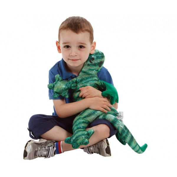 Fonctions exécutives et trouble dans le spectre de l'autisme (TSA)