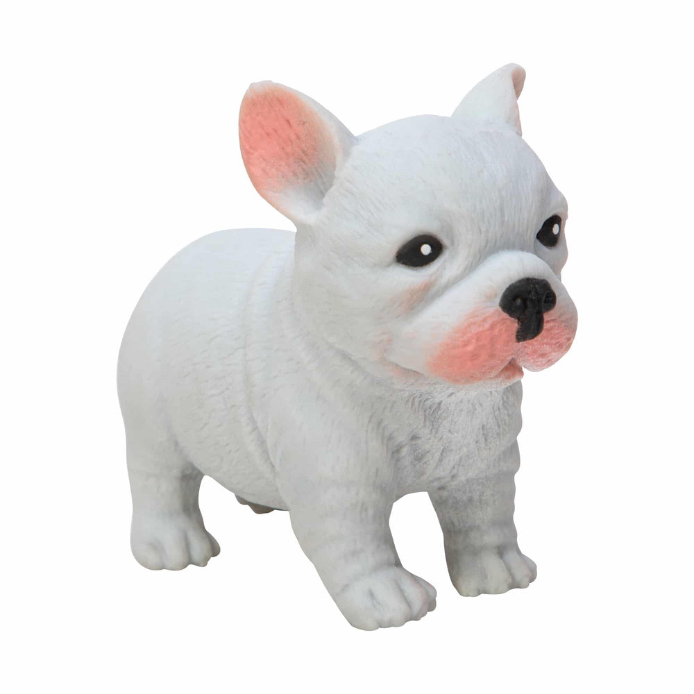 Chiot à manipuler