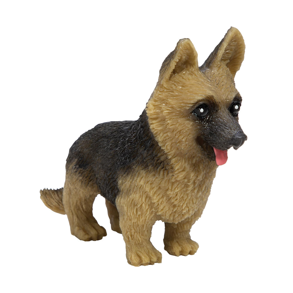Chiot à manipuler