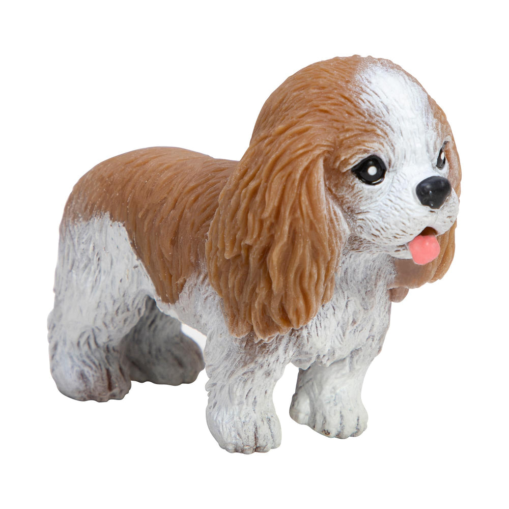 Chiot à manipuler