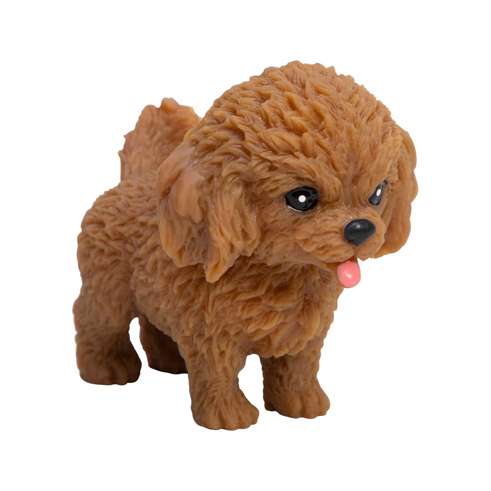 Chiot à manipuler