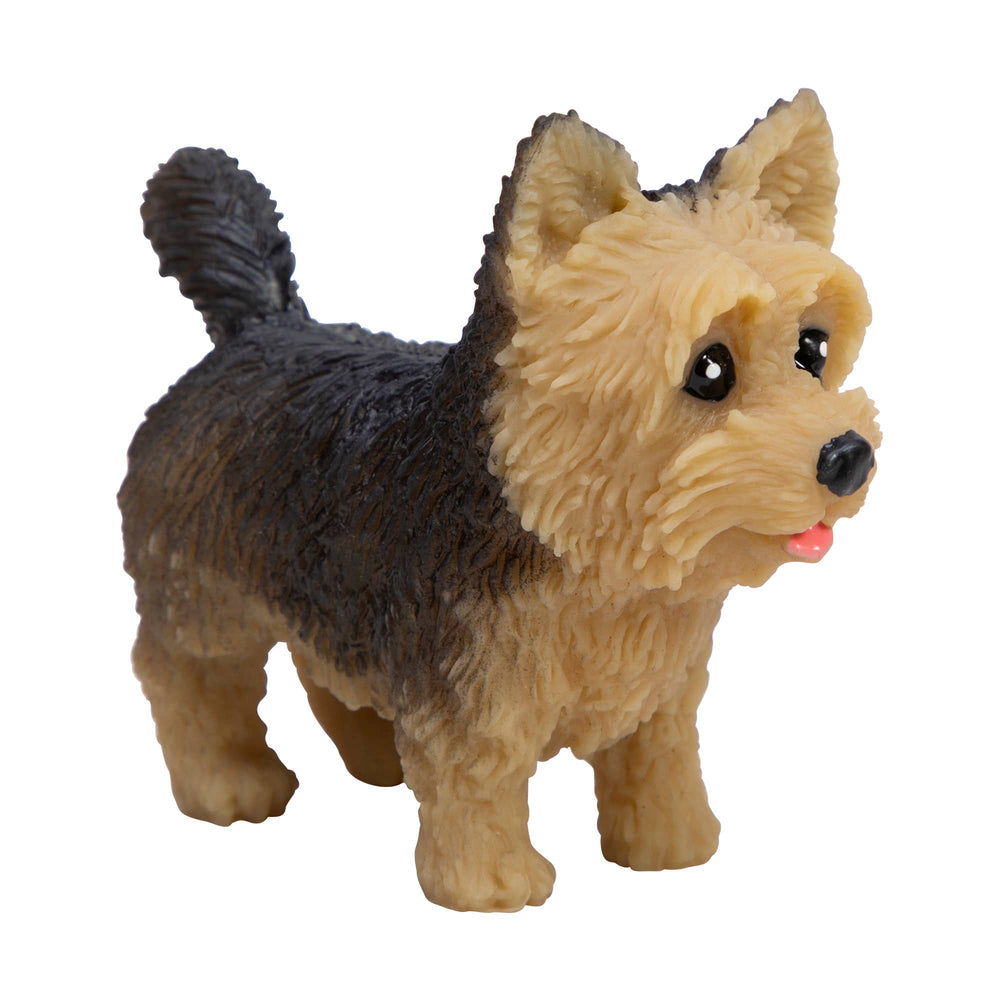 Chiot à manipuler