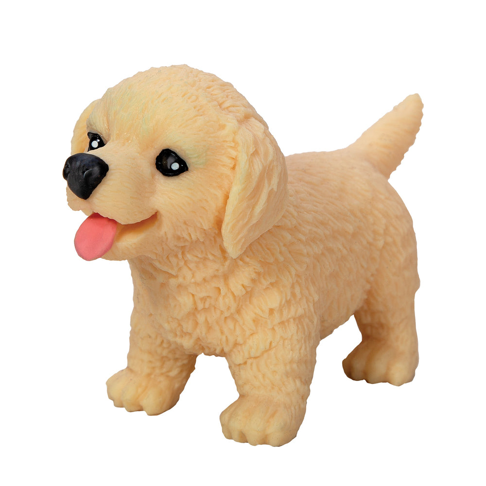 Chiot à manipuler