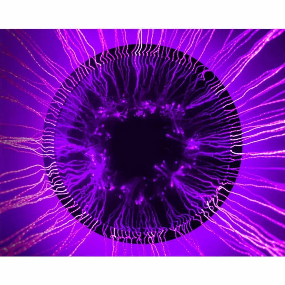 Fiber Optics Shower - 100 Strands