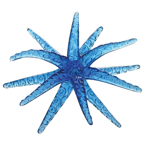 Étoile de mer en mouvement