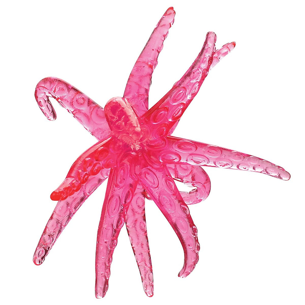 Étoile de mer en mouvement