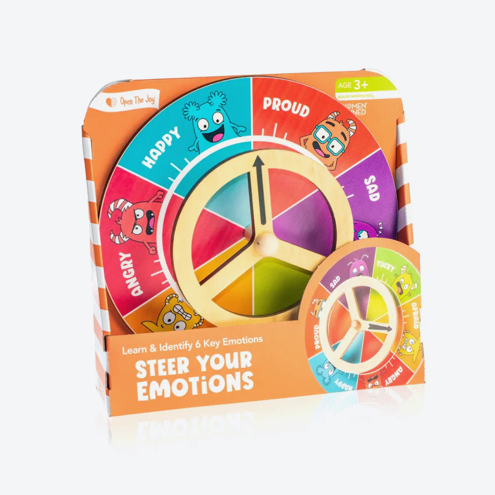 Steer Your Emotions Wheel - English Version