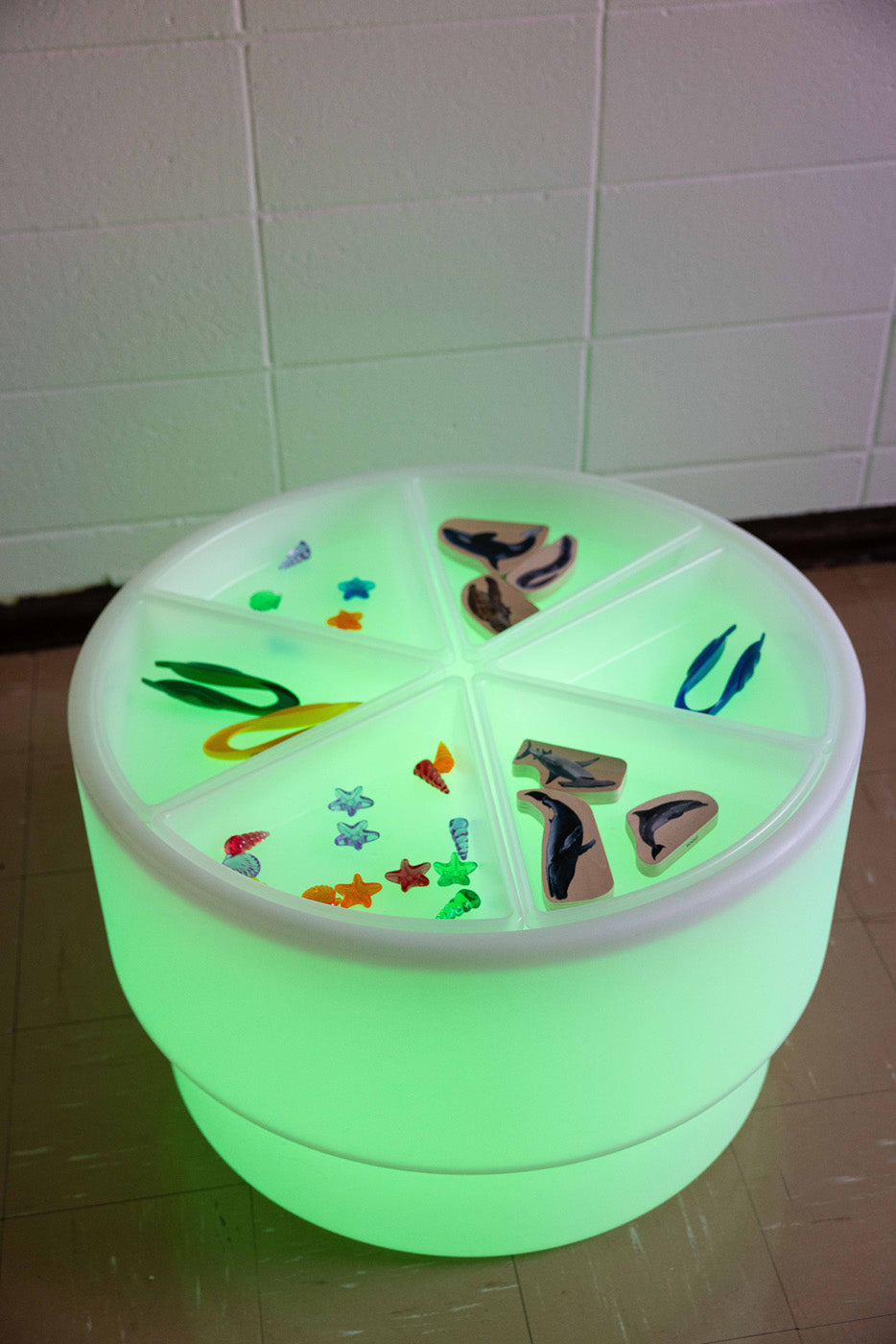 Ensemble sensoriel de luxe pour table lumineuse