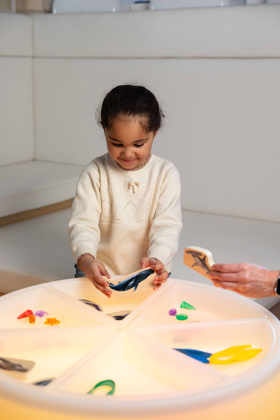 Ensemble sensoriel de luxe pour table lumineuse
