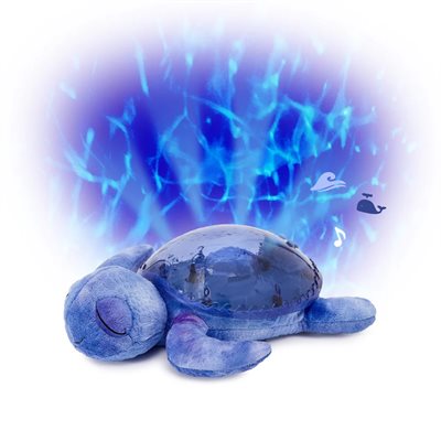 Tranquil Turtle - Ocean