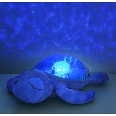 Tranquil Turtle - Ocean