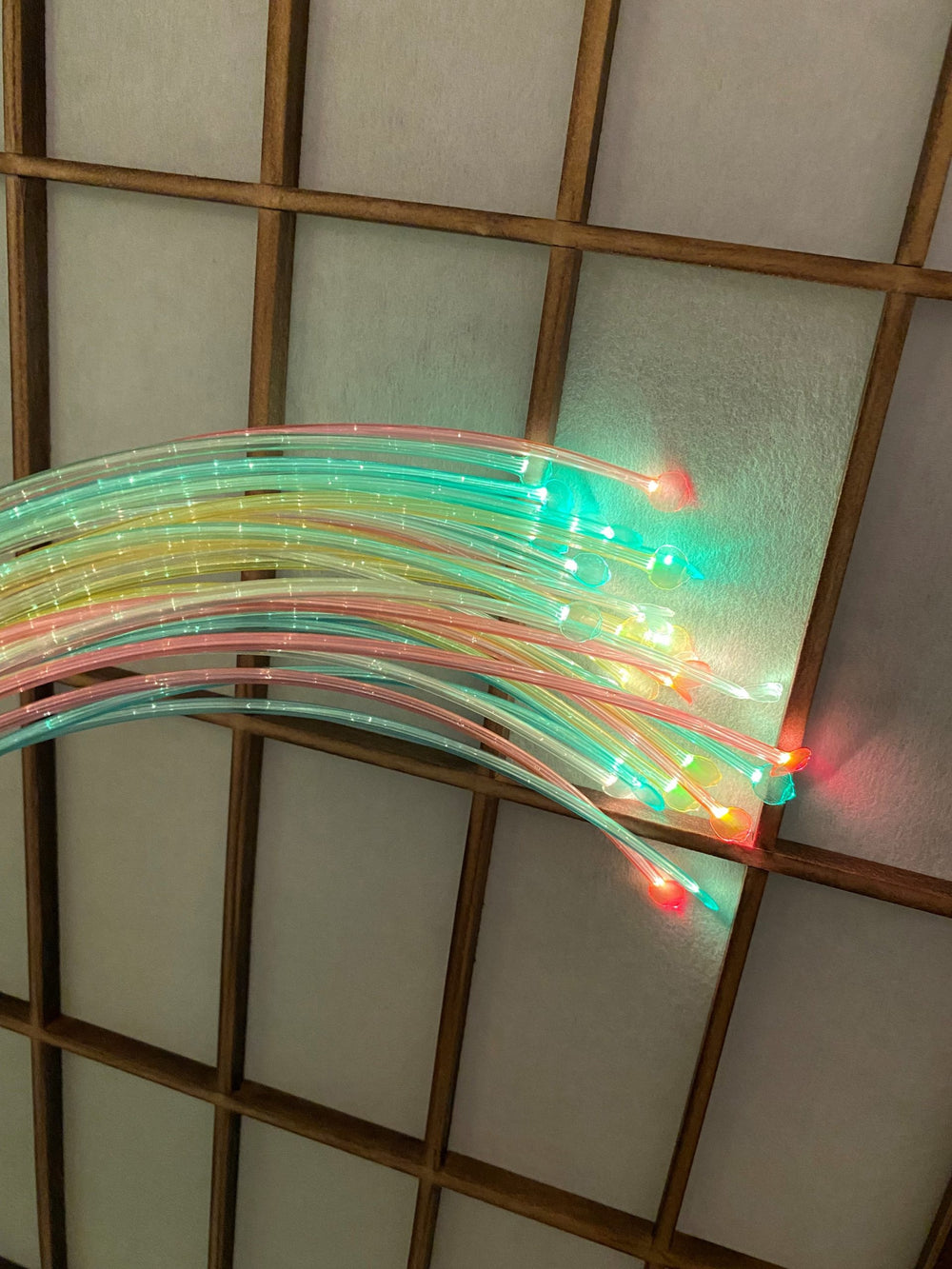 Queue de fibre optique portative aux couleurs UV