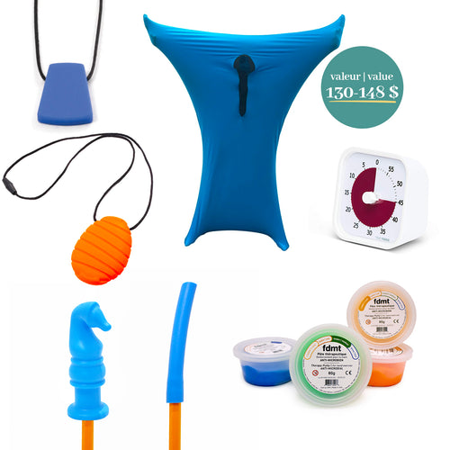 Vestibular Input & Body Awareness Sensory Kit 