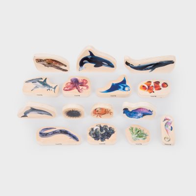 Wooden Blocks - Sea Life
