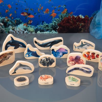 Wooden Blocks - Sea Life