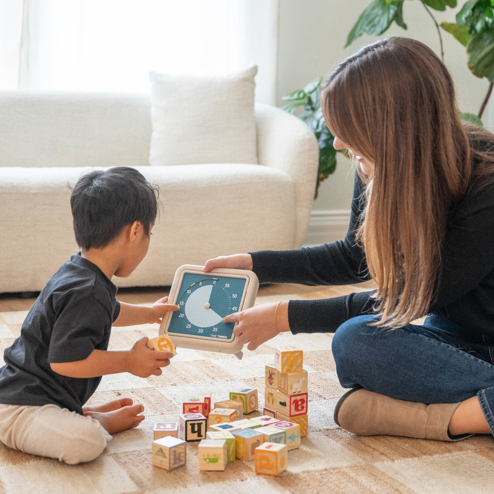 Time Timer Retro Eco