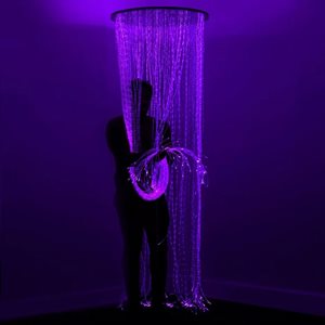 Fiber Optic Shower - 100 Strands