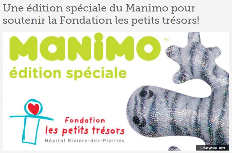 2015_manimoFondation